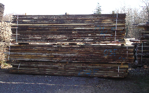 plotchataignier4.50m