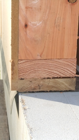 ossature bois lisse basse acacia